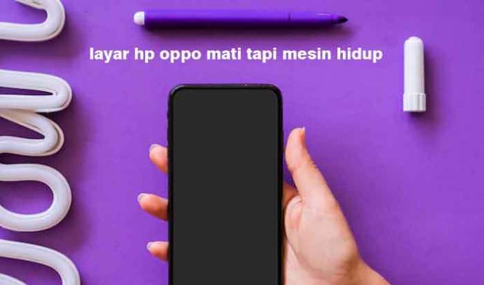 Cara Mengatasi Layar Hp Mati Tapi Mesin Hidup Panduan Langkah Demi