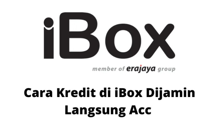 Panduan Kredit HP di iBox: Cara, Keuntungan, dan Alternatif