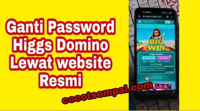 Cara Ganti Password Higgs Domino Tanpa Nomor HP dan…