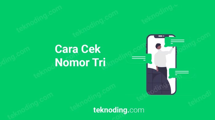 Cara Mudah Mengecek Nomor HP Tri, Cepat dan Praktis