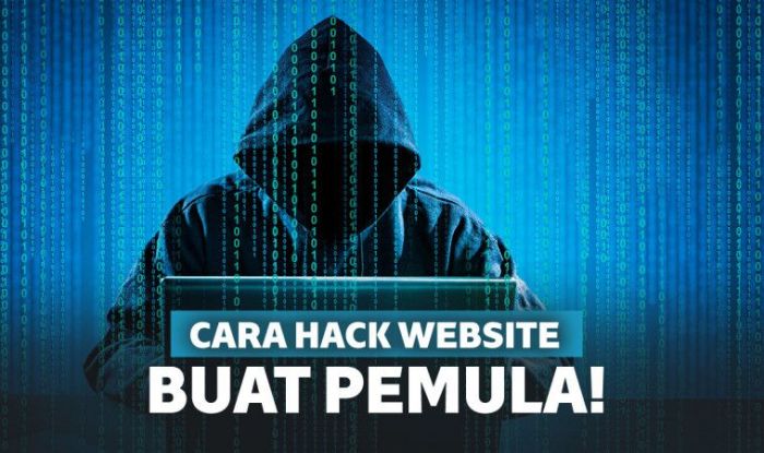 Cara Menjadi Hacker Pemula di HP: Panduan Langkah demi Langkah