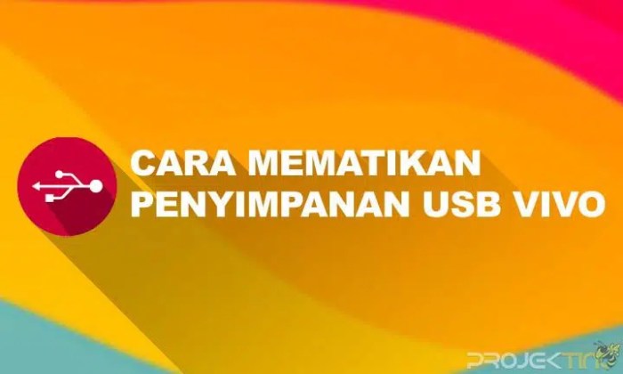 Cara Menonaktifkan Penyimpanan USB di HP: Panduan Langkah demi…