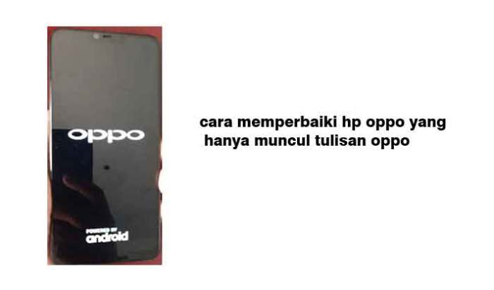 Cara Mengatasi HP OPPO Terkunci di Select Language