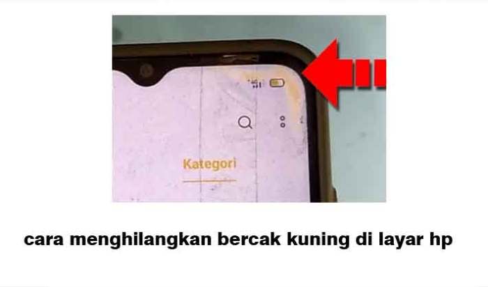 Cara Mudah Hilangkan Bercak Air di Layar HP LCD