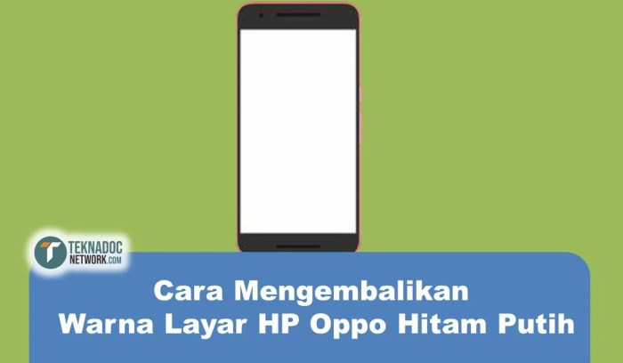 Cara Mengembalikan Warna Layar HP yang Hitam Putih