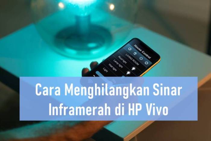 Cara Mematikan Sinar Inframerah di HP Vivo dengan Mudah