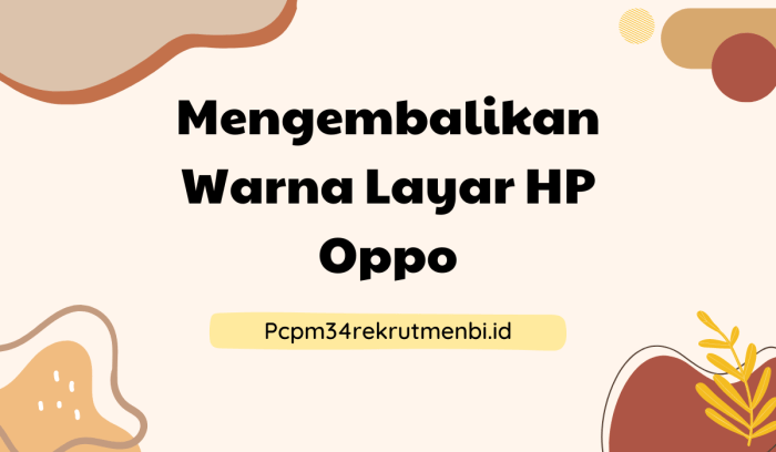 Cara Mengembalikan Warna Layar HP yang Hitam Putih