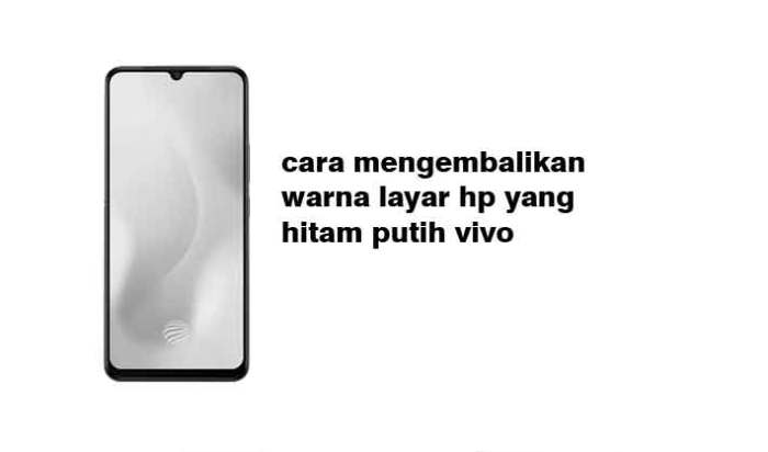 Cara Mengembalikan Warna Layar HP yang Hitam Putih