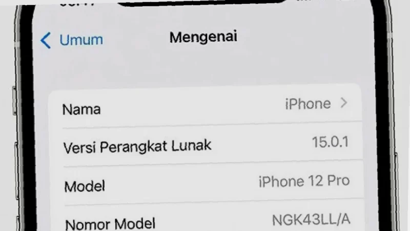 Cek IMEI Infinix Kamu Sekarang!  Terdaftar atau Tidak?  Ketahui Langsung!