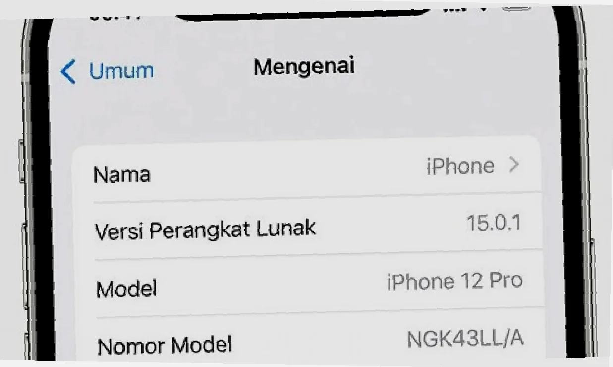 Cek IMEI Infinix Kamu Sekarang! Terdaftar atau Tidak? Ketahui Langsung!